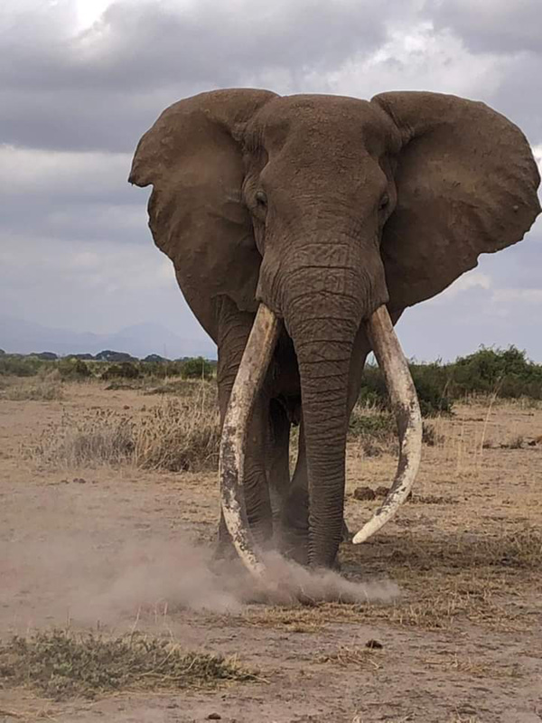 Craig