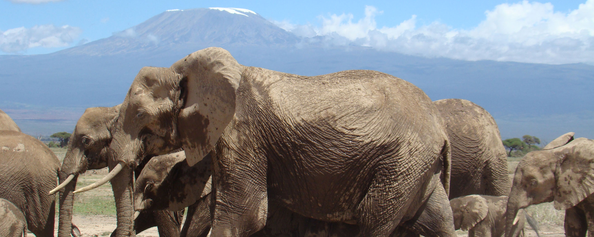 AMBOSELI NATIONAL PARK
